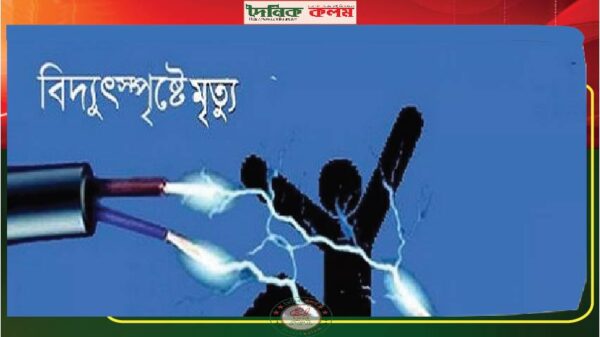 ছবি লোড হচ্ছে........