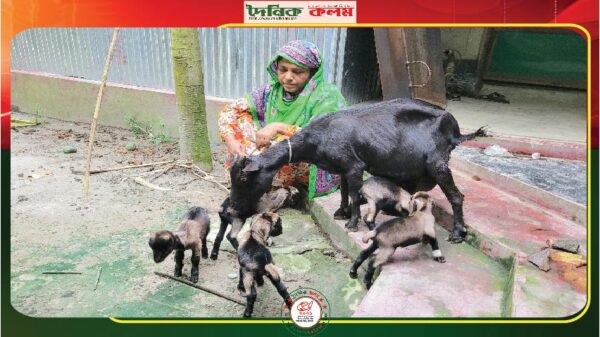 ছবি লোড হচ্ছে................