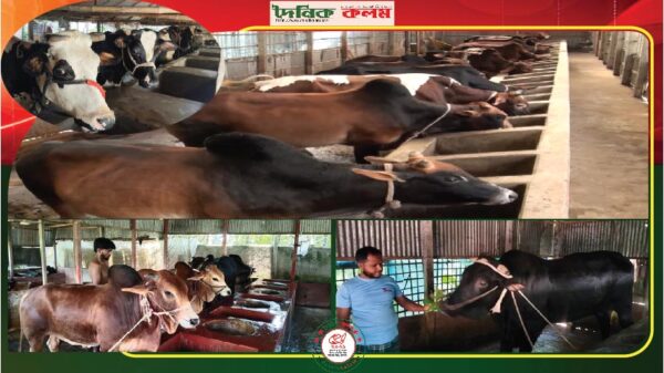 ছবি লোড হচ্ছে.........