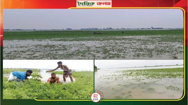 ছবি লোড হচ্ছে.............