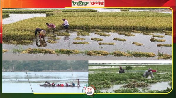 ছবি লোড হচ্ছে................