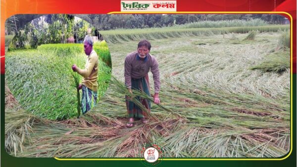ছবি লোড হচ্ছে................