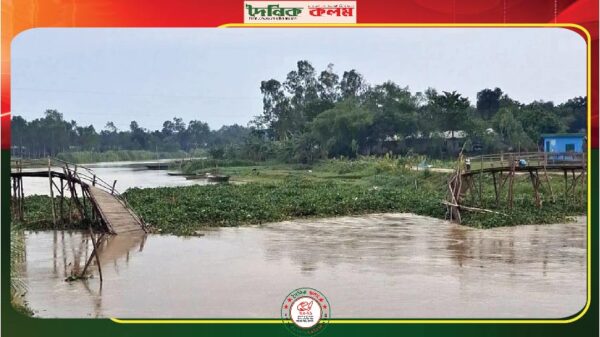 ছবি লোড হচ্ছে.............