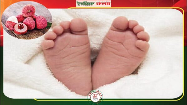 ছবি লোড হচ্ছে............