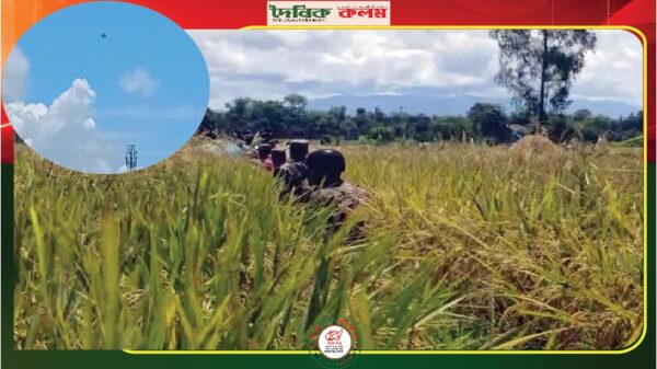 ছবি লোড হচ্ছে............