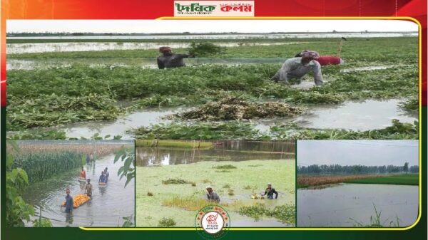 ছবি লোড হচ্ছে..................