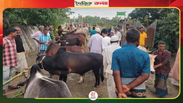 ছবি লোড হচ্ছে...........