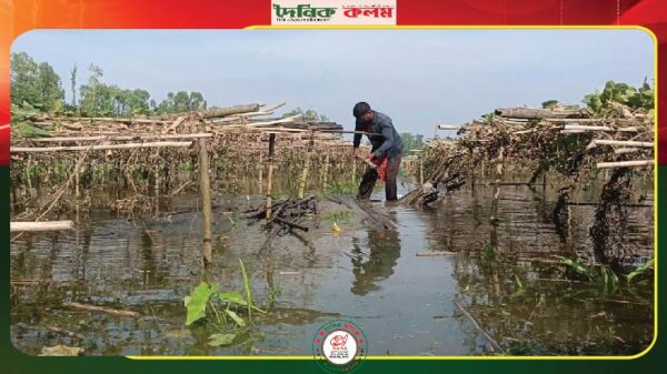 ছবি লোড হচ্ছে............