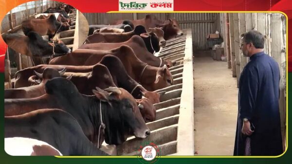 ছবি লোড হচ্ছে...........