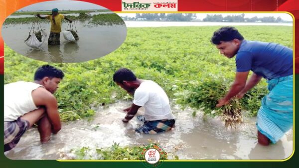 ছবি লোড হচ্ছে...........