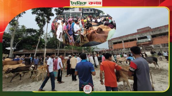 ছবি লোড হচ্ছে............