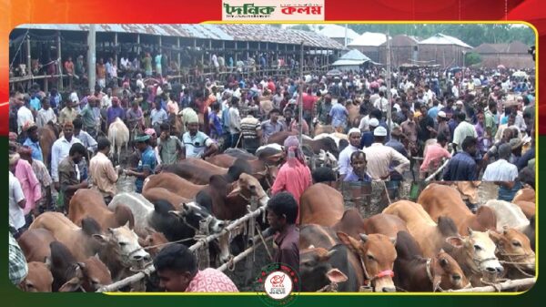 ছবি লোড হচ্ছে............