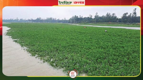 ছবি লোড হচ্ছে..........