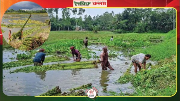 ছবি লোড হচ্ছে..........