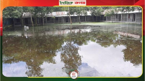 ছবি লোড হচ্ছে.............