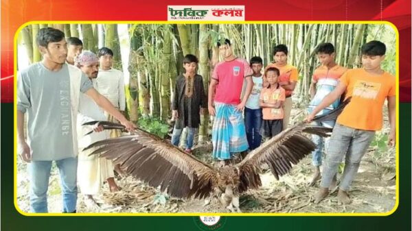 ছবি লোড হচ্ছে.......