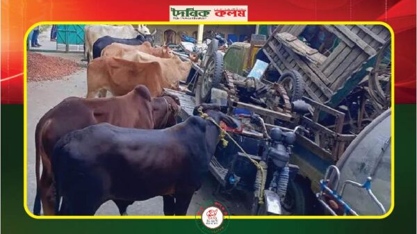 ছবি লোড হচ্ছে.............