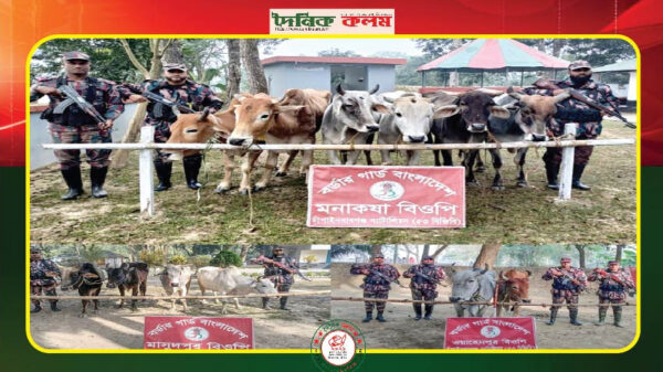 Image is loading.........