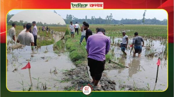 ছবি লোড হচ্ছে..........